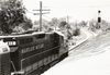 Maryland_Midland_GP9_812.jpg