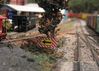 Trail_012.jpg